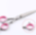 file.png